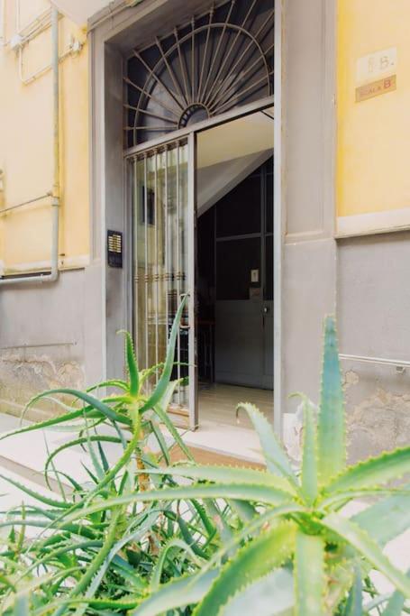 Mann House Napoli Διαμέρισμα Εξωτερικό φωτογραφία